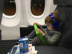 The Flight Home